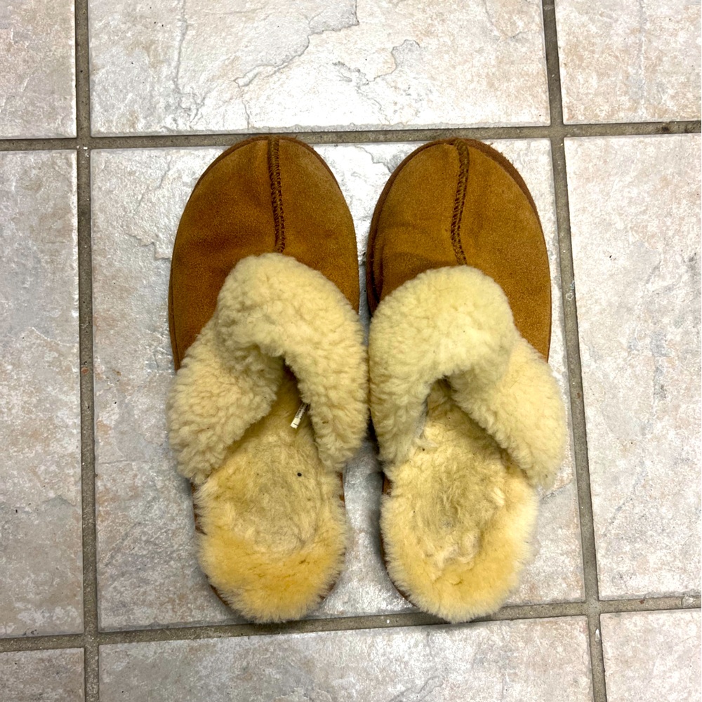 Well Worn Slippers